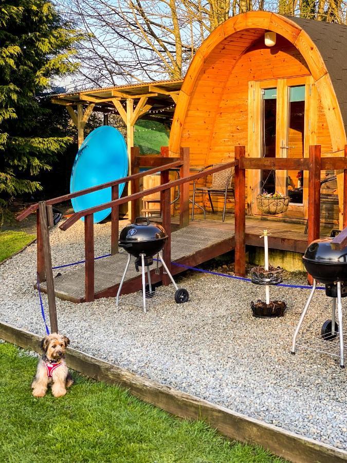 Log Cabin Келс Экстерьер фото